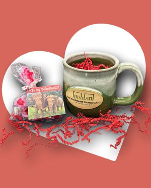 Valentine's Day Mug Promo