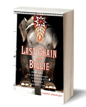 Last Chain on Billie (Non-Fiction)