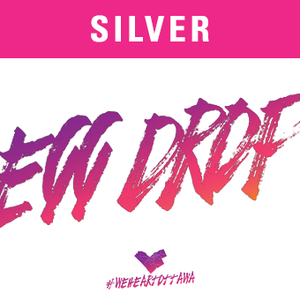 Egg Drop - Financial Sponsorship - SILVER