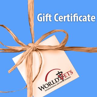 Gift Certificate