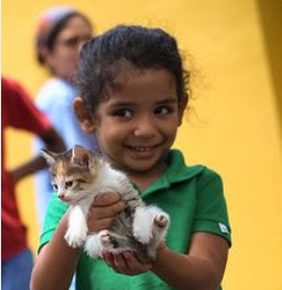 Help a Homeless Cat