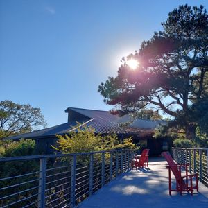 Guided Nature Therapy Retreat – October 4, 2026