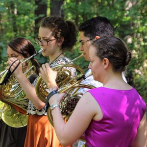 Purple Lovegrass Event Sponsorship: Forest Music