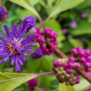 Inspiration and Creativity, Taking Cues From Nature – August 15, 2026
