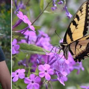 Building Backyard Biodiversity – August 23, 2026