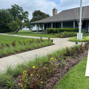Cultivating Change: A Native Landscaping Success Story – October 25, 2025