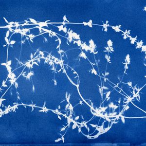 Cyanotype Workshop – June 26, 2026
