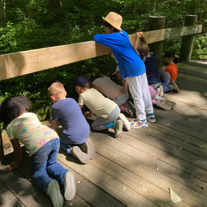 Camp Egret: Out on a Limb