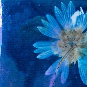Art Reception for Linda Farwell - September 5, 2026