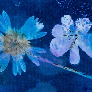 Art Reception for Linda Farwell - September 5, 2026