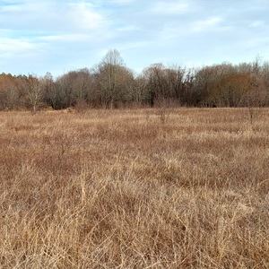 First Saturday Walk - February 7, 2025