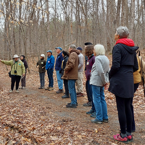 First Saturday Walk - March 7, 2026