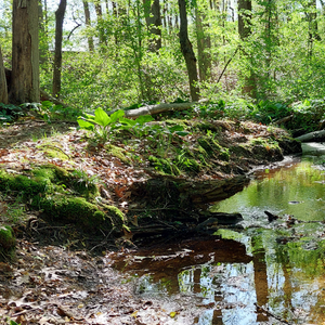 First Saturday Walk - April 4, 2026