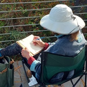 Fall Nature Journaling: Autumn Leaves and Berries  – Fall 2026