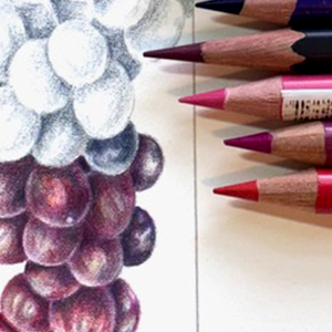 Colored Pencil 2: Applications – October 3, 17, and 24, 2025