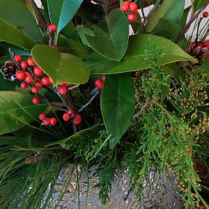 Holiday Greens Workshop – December 6, 2025