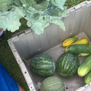 Permaculture 101 – March 5, 2026