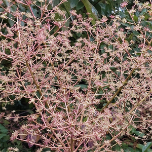 Soup 'n Walk: Golden Meadows & Gliding Bluebirds – September 19, 2026