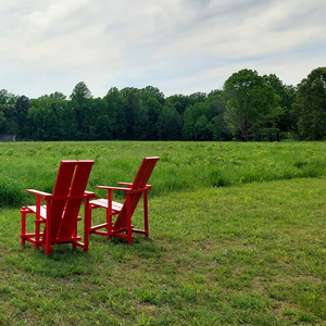 Guided Nature Therapy Retreat – April 12, 2026