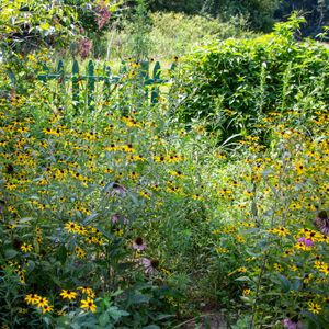 Smart Planting Management: A Public Lecture with Claudia West - November 18