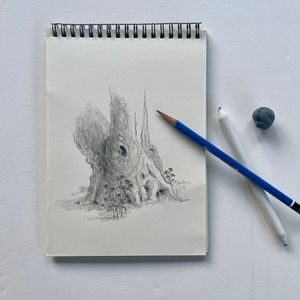 Field Sketching: The Language of Trees in Graphite  – September 6, 2026