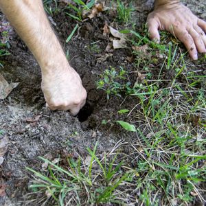 Introduction to Naturally Better Landscaping for HOAs Project - June 2