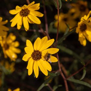 Healing Walk - October 3