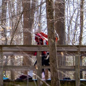 Yoga in the Woods - April 22