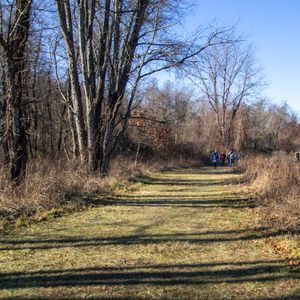 First Saturday Walk - January 4