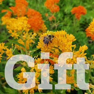 Individual Gift Membership