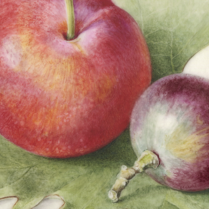 Introduction to Painting on Vellum – March 6, 2026