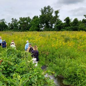 Wye Farm Native Meadow Tour – September 23, 2026