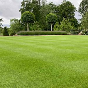 The Impact and History of Lawns - June 22