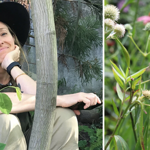 Reimagining Our Landscapes: A Talk by Rebecca McMackin – November 9, 2025