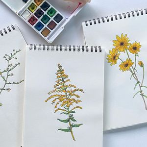 Field Sketching: The Fall Meadow in Ink and Watercolor  – September 20, 2026
