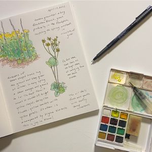 Nature Journaling - 4/3, 5/1, 6/5
