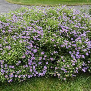 Noble Garden Tour – September 30, 2026