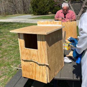 Build an Owl Box for Your Yard – November 13, 2026