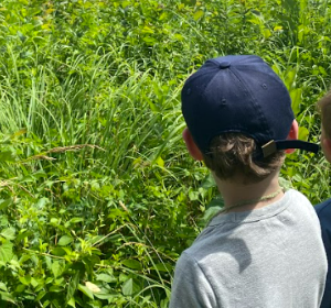 Camp Paw Paw: Destination Discovery