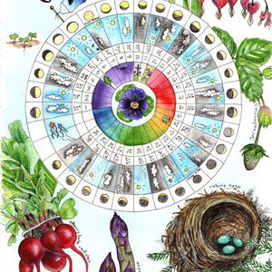 Illustrated Phenology Wheel - October 26 & 27