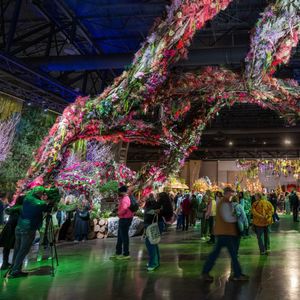 Philadelphia Flower Show Bus Trip – March 15