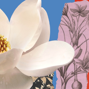 Philadelphia Flower Show Bus Trip – March 2