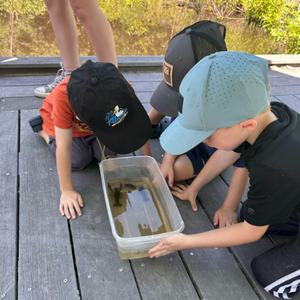 Camp Pollywog: Summer Wonders