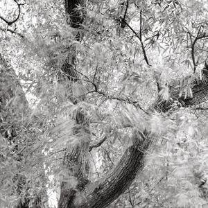 Art Reception for Amanda Sauer - June 6, 2026