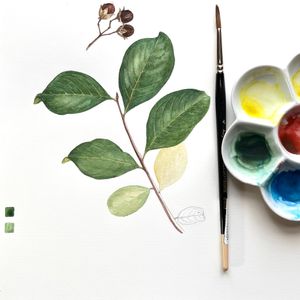 Botanical Art: Watercolor Palette – Fall 2026