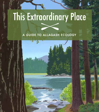 This Extraordinary Place: A Guide to Allagash Ecology