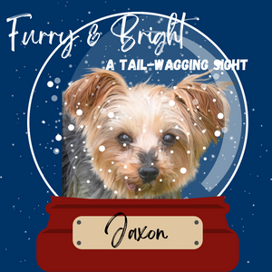 Furry & Bright: A Tail Wagging Sight