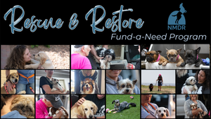 Rescue & Restore Fund-a-Need Program