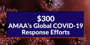 GLOBAL EFFORTS $300