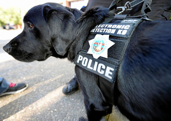 OUR K9 Fundraiser